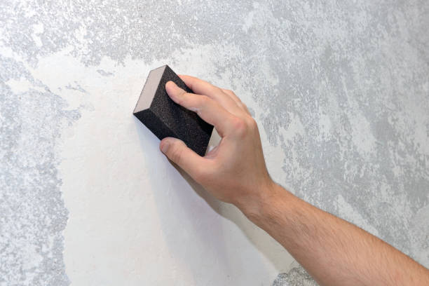 Best Air Quality Testing for Mold Spores  in Williamsburg, KY
