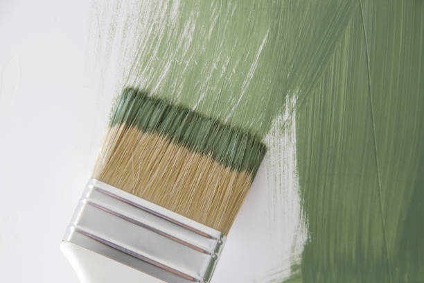 Mold Remediation for Rental Properties in Williamsburg, KY