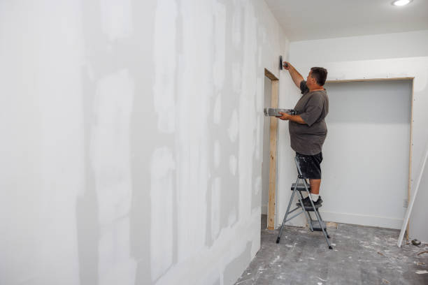 Best Residential Mold Inspection & Testing  in Williamsburg, KY