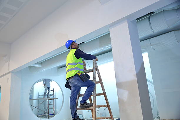 Best Industrial Mold Remediation  in Williamsburg, KY