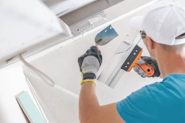 Best Post-Construction Mold Inspection  in Williamsburg, KY